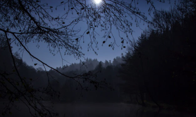 Vollmondnacht – Mit der Dunkelheit Frieden schließen
